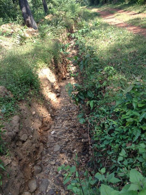 ditch to keep out boar