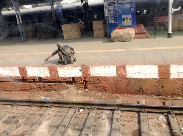 Scavenger at train station