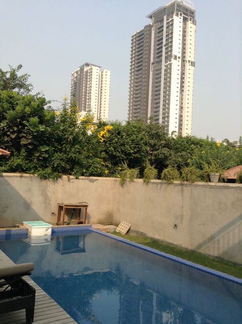 backyard swimming pool