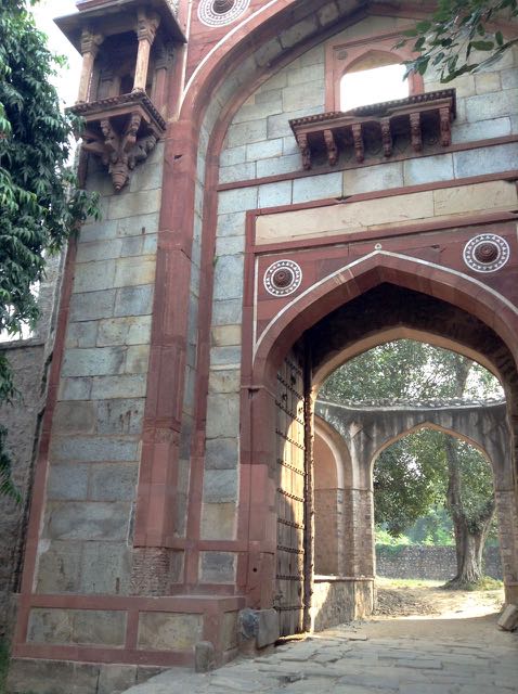 gate with parakeets nearby