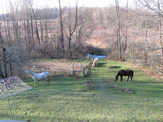 Candy Penny and Phaser in Michigan, 2007