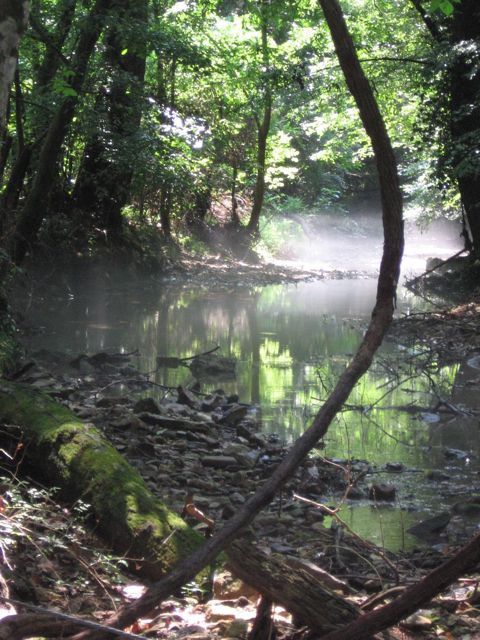 Stream at Lara's and Steve's house